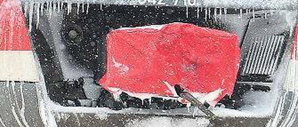 Rutschpartie. Im vergangenen Winter hat das Image der Bahn schwer gelitten. Hochmoderne Züge erwiesen sich als wenig zuverlässig.
