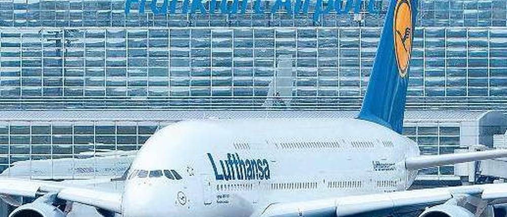 Deutscher Pendler. Zwischen Frankfurt und Hamburg soll künftig viermal täglich eine Lufthansa-Maschine mit Biosprit fliegen. Foto: dpa