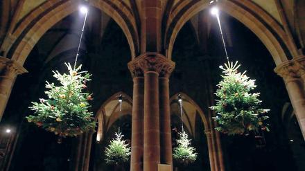 In der Kirche von Saint-Georges in Sélestat werden die Weihnachtsbäume an die Decke gehängt. So, wie es bis Mitte des 19. Jahrhunderts Brauch war in der Region. Foto: Ullstein Bild