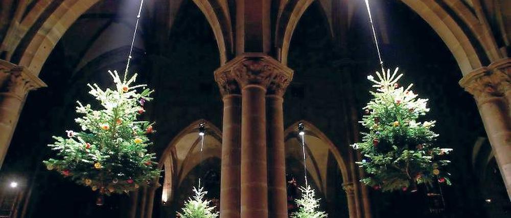 In der Kirche von Saint-Georges in Sélestat werden die Weihnachtsbäume an die Decke gehängt. So, wie es bis Mitte des 19. Jahrhunderts Brauch war in der Region. Foto: Ullstein Bild