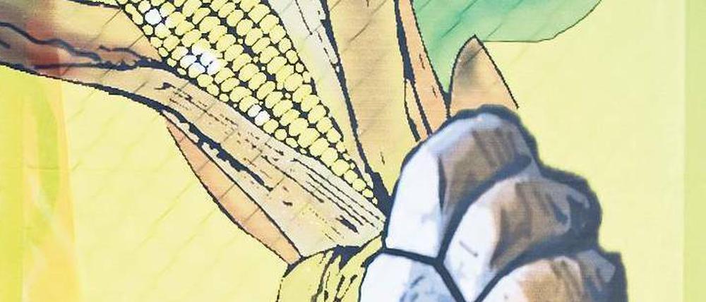 Nachhaltige Entwicklung. Auch die rasant wachsenden Schwellenländer sollen ihren Beitrag zum Klimaschutz leisten. Foto: AFP