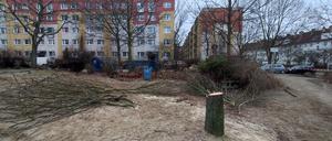 Gerodeter Spielplatz an der Vesaliusstraße in Pankow.
