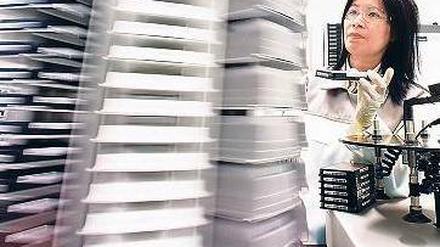 Die Bayer-Bibliothek. Der Pharmakonzern verfügt über eine umfangreiche Sammlung von Wirkstoffen, die gegen Krebs getestet werden.