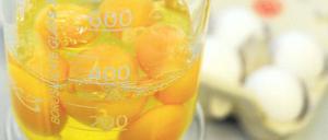 Eier unter Verdacht. Nach den jüngsten Dioxinfunden - hier ein Produkttest in einem amtlichen Labor – beschäftigt das Thema heute auch den Brandenburger Landtag.