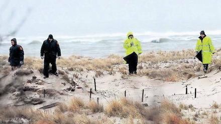 Grausige Suche. Polizeikadetten suchen am Strand in der Nähe der Wohnanlage Oak Beach auf Long Island nach weiteren Opfern eines Serienmörders. Acht Leichen wurden bisher geborgen, die letzten drei am Montagabend. Bei allen handelt es sich um junge Frauen. Der Täter hatte sie in Sackleinen verpackt und im dichten Gebüsch der Strände Gilgo und Oak Beach versteckt. Foto: Andrew Gombert/dpa