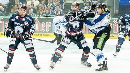 Darin Olver, 26, und Barry Tallackson, 28, wechselten vor der Saison gemeinsam von den Augsburger Panthern zu den Berliner Eisbären. Foto: Engler