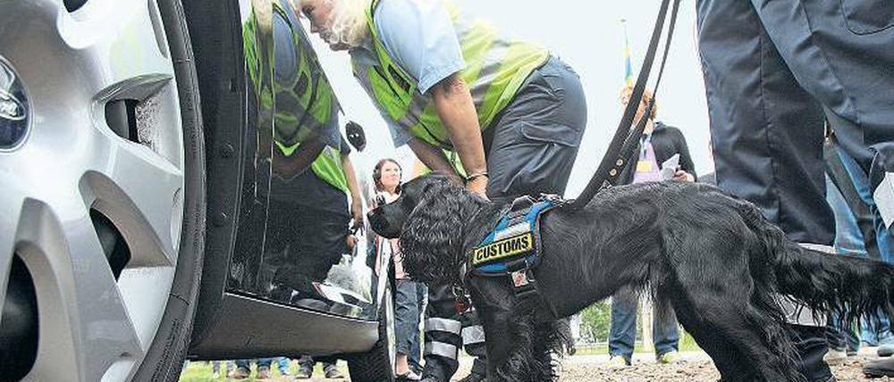 Smalltalk am Seitenfenster. Dänische Zöllner kontrollieren in der Nähe von Flensburg ein Fahrzeug mit einem auf Drogen und Waffen spezialisierten Hund. 