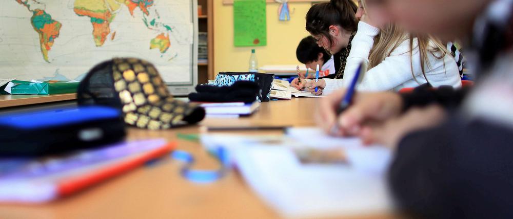 Auf Herz und Schnauze überprüft: Die Berliner Grundschüler.