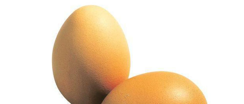 Nach dem Willen der EU soll es bald keine Eier aus Legebatterien-Produktion mehr geben.
