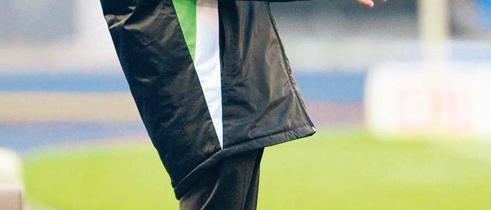 Beliebtes Motiv. Für Lucien Favre interessierten sich die meisten Fotografen.Foto: dapd