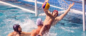 Wasserball