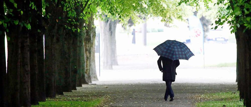 Immer mehr Menschen in Deutschland führen ein Single-Dasein.