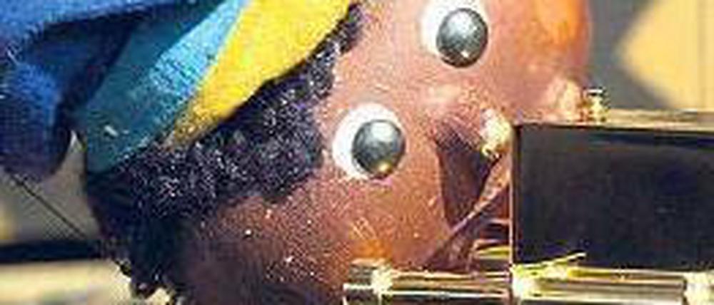 Foto: dpa