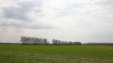 Weit das Land, hoch der Himmel: Manche bekommen hier Beklemmungen, manche fühlen sich angesichts von Ausblicken wie diesem hier bei Baruth erst richtig frei. 