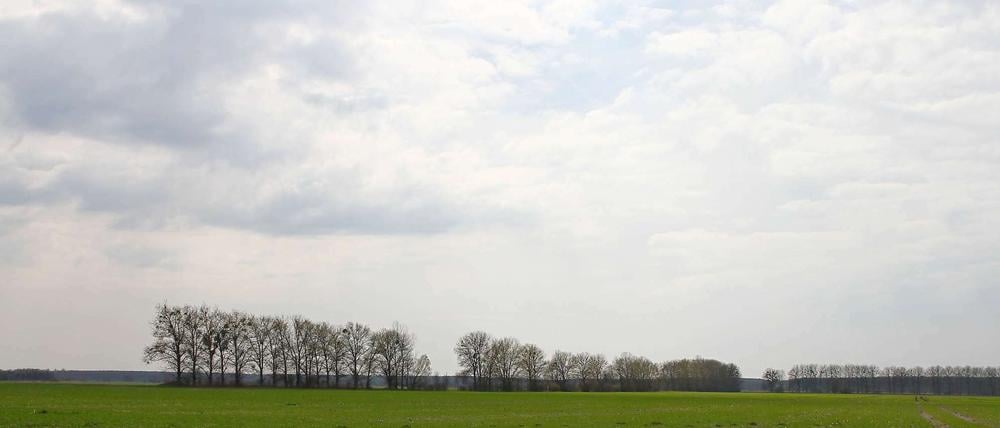 Weit das Land, hoch der Himmel: Manche bekommen hier Beklemmungen, manche fühlen sich angesichts von Ausblicken wie diesem hier bei Baruth erst richtig frei. 