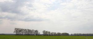 Weit das Land, hoch der Himmel: Manche bekommen hier Beklemmungen, manche fühlen sich angesichts von Ausblicken wie diesem hier bei Baruth erst richtig frei. 