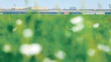 Veränderung unerwünscht. Der Senat will den Wohnungsbau fördern, auch auf dem Tempelhofer Feld. Anrainer lehnen das ab – obwohl viele von ihnen über steigende Mieten klagen. 
