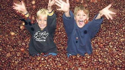 Noch lachen sie. Problemkids im härtesten Bällchenbad ever (Abb. ähnlich). Foto: dpa