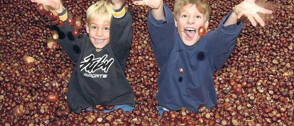 Noch lachen sie. Problemkids im härtesten Bällchenbad ever (Abb. ähnlich). Foto: dpa