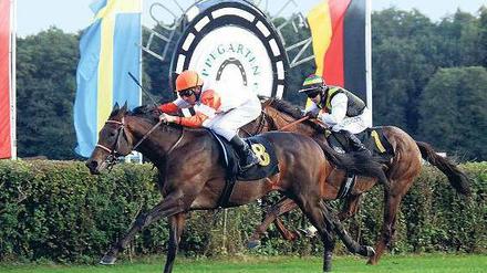 Gut gelaufen. Adrie de Vries auf Pastorius (links) war am Sonntag in Hoppegarten für die Konkurrenten zu schnell und gewann verdient. Rund 15 000 Zuschauer verfolgten das Hauptrennen. Foto: Jürgen Engler