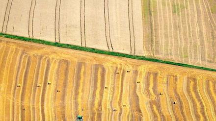 Milliarden für die Landwirtschaft. Der größte Anteil des EU-Haushalts wird für die Agrarförderung ausgegeben.