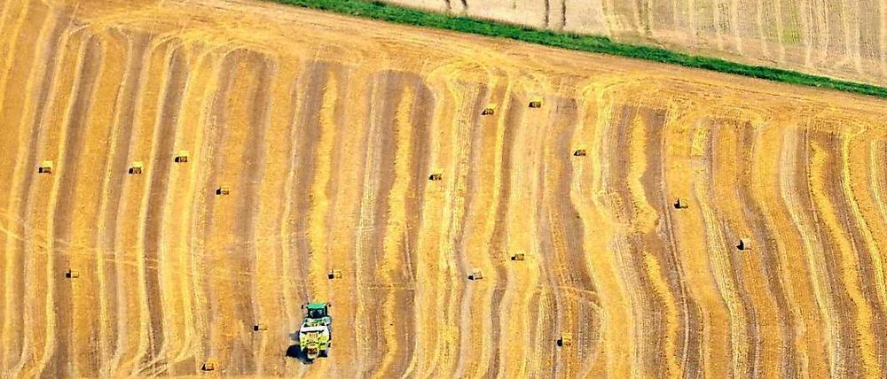 Milliarden für die Landwirtschaft. Der größte Anteil des EU-Haushalts wird für die Agrarförderung ausgegeben.