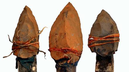 Spitzenforschung. Mit solchen nachgebauten Speeren schossen die Archäologen auf Springbock-Kadaver. 