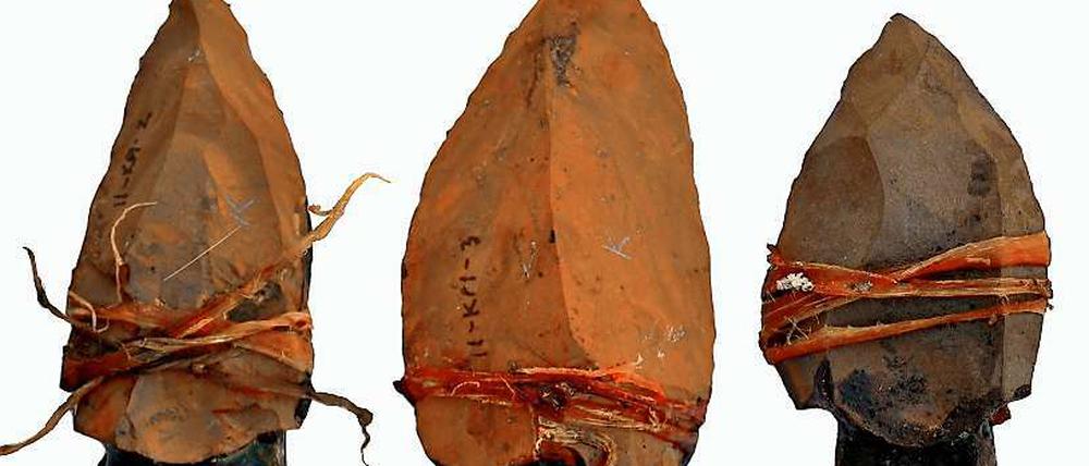 Spitzenforschung. Mit solchen nachgebauten Speeren schossen die Archäologen auf Springbock-Kadaver. 