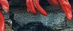 Rotes Gold. Paprikapulver aus der Vojvodina gilt als besonders aromatisch. Foto: rtr