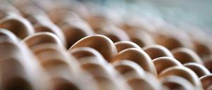 Der Skandal um das Bio-Ei.