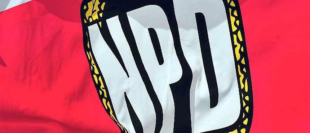 Bund und Länder haben auf mehr als 1000 Seiten Belege gegen die NPD gesammelt. Diese hat die Partei nun in Teilen selbst veröffentlicht.