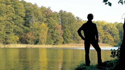 Naturschützer fürchten eine schleichende Privatisierung Brandenburger Seen - wie es schon beim Wandlitzer See geschehen war. 