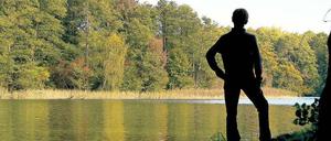 Naturschützer fürchten eine schleichende Privatisierung Brandenburger Seen - wie es schon beim Wandlitzer See geschehen war.