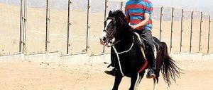 Wechselschritt.  Mahmoud (Bassem Samra) ritt 2011 gegen die Rebellion.