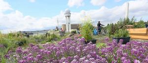 Wie Wohnen in Berlin am Ende des nächsten Jahrzehnts aussehen wird, lässt sich anhand großer Planungsgebiete wie etwa dem Tempelhofer Feld erahnen: grün, intelligent, zentral.