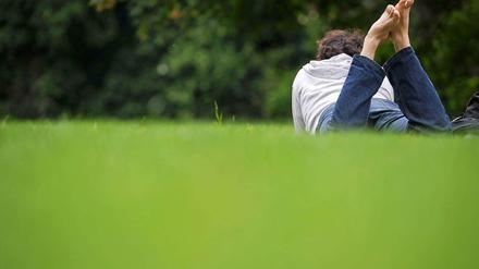 Einer von insgesamt weniger Berlinern als bislang angenommen auf einer Wiese im Tiergarten.