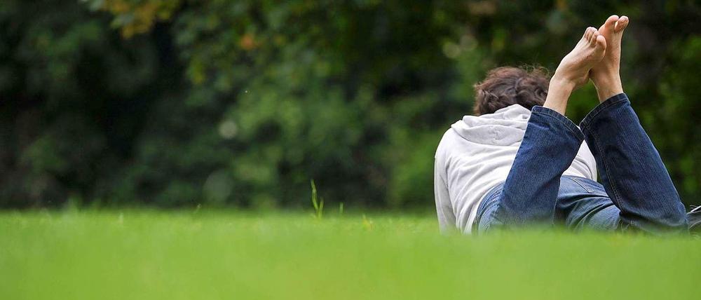 Einer von insgesamt weniger Berlinern als bislang angenommen auf einer Wiese im Tiergarten.