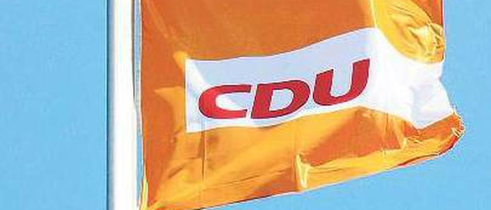 Fahne im Wind. Derzeit liegt die CDU gut im Umfragerennen. Foto: Thilo Rückeis