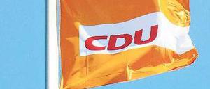 Fahne im Wind. Derzeit liegt die CDU gut im Umfragerennen. Foto: Thilo Rückeis