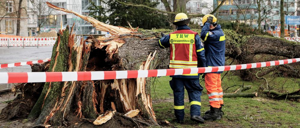 Technisches Hilfswerk bei Aufräumarbeiten in Moabit