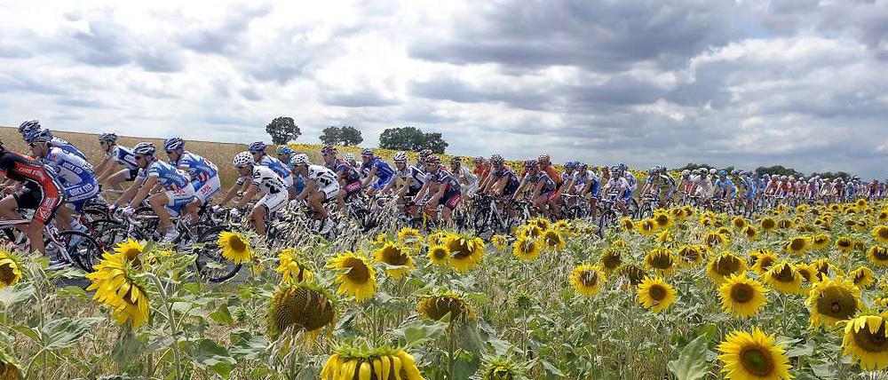 Dieses Jahr findet die 100. Tour de France statt. Immer wieder war Doping der dunkle Begleiter des Sportevents.