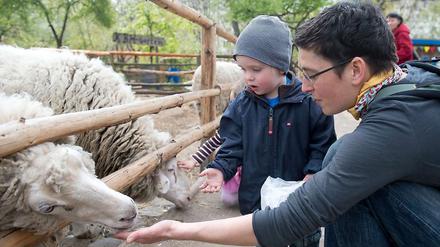 Netter Familienausflug. Zoobesuche mit den Kleinsten kommen gut an.