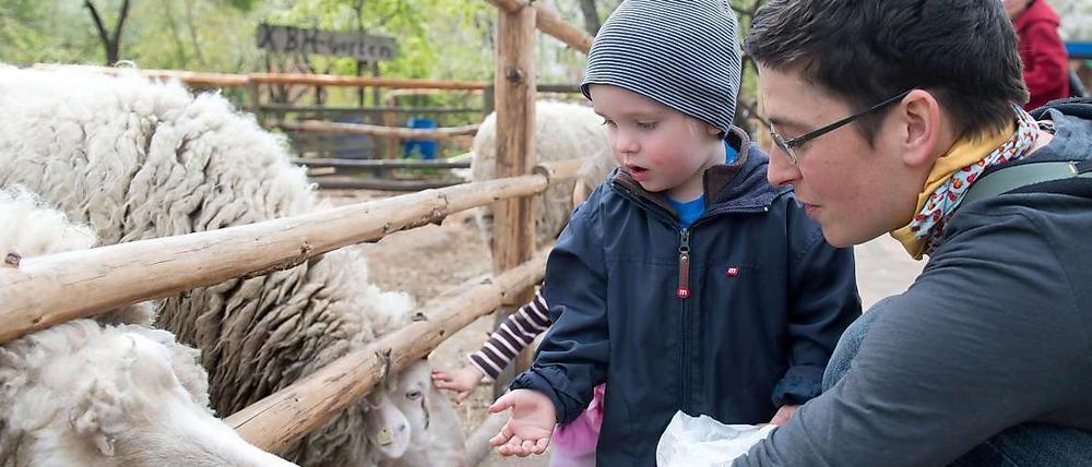 Netter Familienausflug. Zoobesuche mit den Kleinsten kommen gut an.