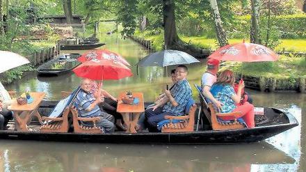 Im Spreewald ist man für alle Wetter gerüstet. Nach dem Hochwasser fährt längst wieder alles – und sollte es doch mal regnen, haben die Kahnfährleute selbst Schirme dabei. Aber das Wetter soll ja langsam sommerlicher werden.