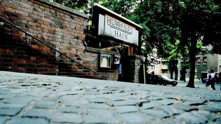 Der Humboldthain - ein Szeneort? 