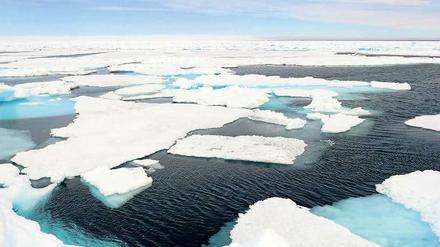 Wildes Eis. Ihre Reise zur Baffin Island hatten sich die Reisenden ganz anders vorgestellt.