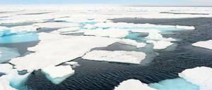 Wildes Eis. Ihre Reise zur Baffin Island hatten sich die Reisenden ganz anders vorgestellt.