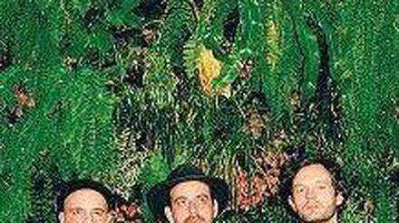 Zweckgemeinschaft. Moderat gelten als Techno-Supergroup. 