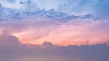 Sonnenblumen, Wolkenberge. Eine Luftmassengrenze liegt mitten über Deutschland. Entsprechend groß ist das Unwetterpotenzial in Berlin und Brandenburg. Foto: dpa/Patrick Pleul