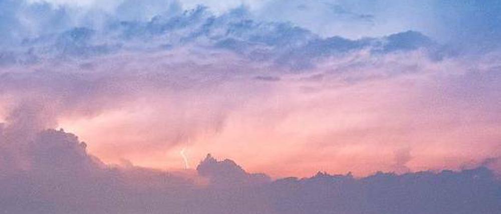 Sonnenblumen, Wolkenberge. Eine Luftmassengrenze liegt mitten über Deutschland. Entsprechend groß ist das Unwetterpotenzial in Berlin und Brandenburg. Foto: dpa/Patrick Pleul